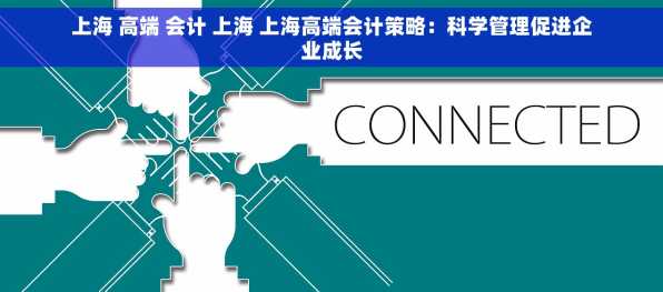 上海 高端 会计 上海 上海高端会计策略：科学管理促进企业成长