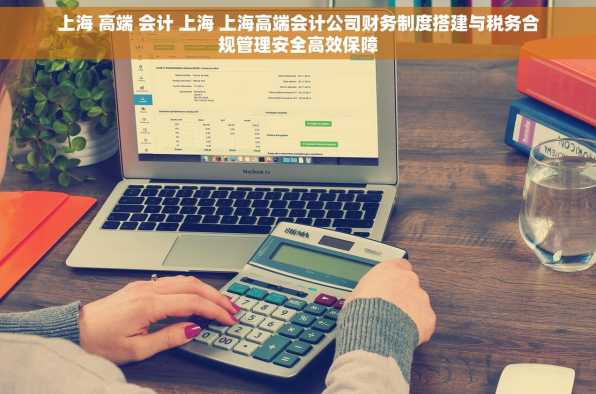 上海 高端 会计 上海 上海高端会计公司财务制度搭建与税务合规管理安全高效保障