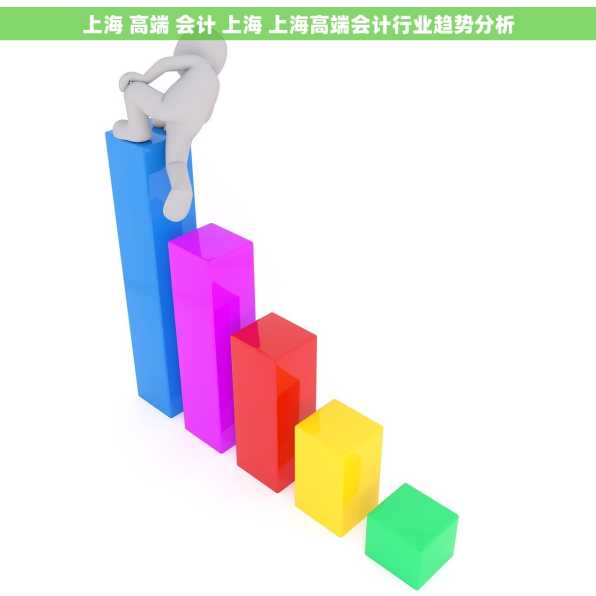 上海 高端 会计 上海 上海高端会计行业趋势分析