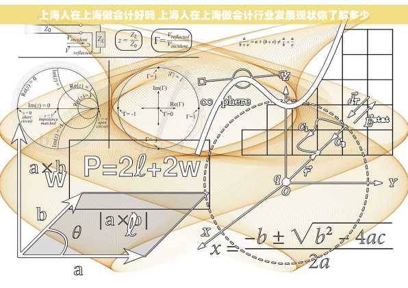 上海人在上海做会计好吗 上海人在上海做会计行业发展现状你了解多少