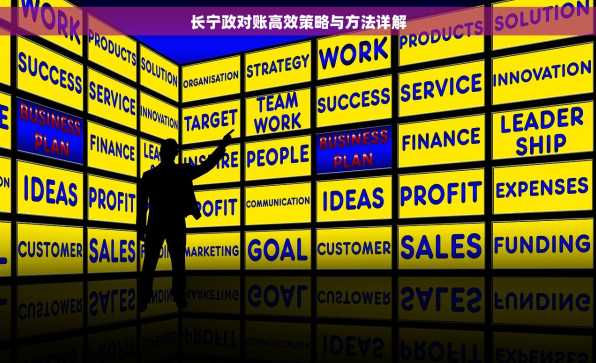 长宁政对账高效策略与方法详解