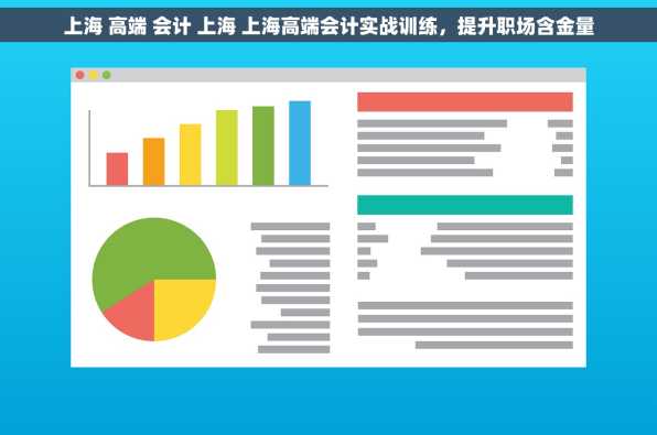 上海 高端 会计 上海 上海高端会计实战训练，提升职场含金量