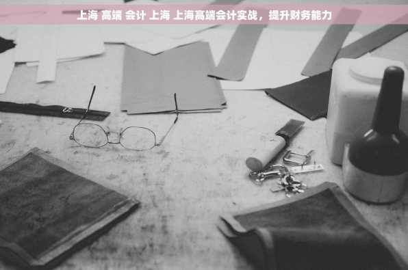 上海 高端 会计 上海 上海高端会计实战，提升财务能力