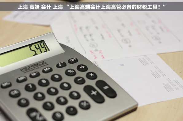 上海 高端 会计 上海 “上海高端会计上海高管必备的财税工具！”