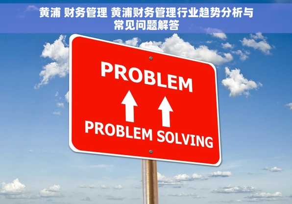 黄浦 财务管理 黄浦财务管理行业趋势分析与常见问题解答