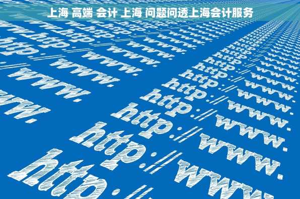 上海 高端 会计 上海 问题问透上海会计服务