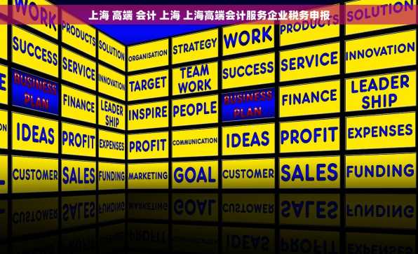 上海 高端 会计 上海 上海高端会计服务企业税务申报