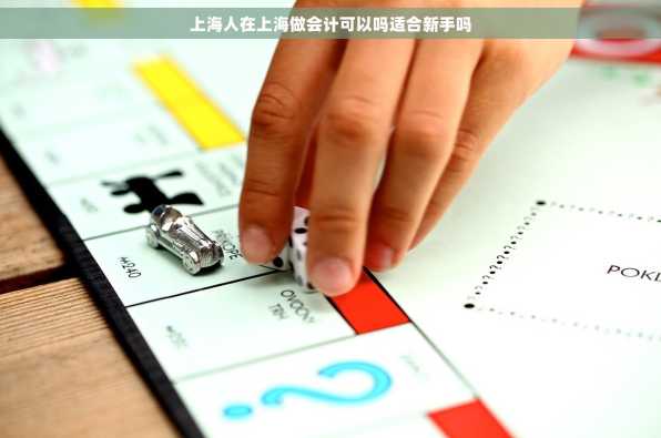 上海人在上海做会计可以吗适合新手吗