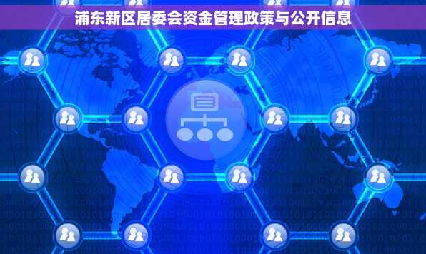 浦东新区居委会资金管理政策与公开信息