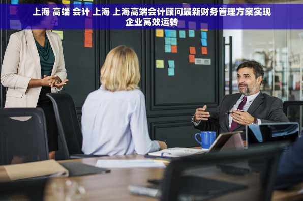 上海 高端 会计 上海 上海高端会计顾问最新财务管理方案实现企业高效运转
