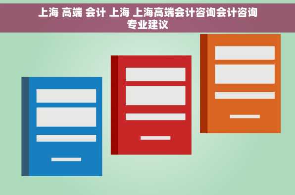上海 高端 会计 上海 上海高端会计咨询会计咨询专业建议