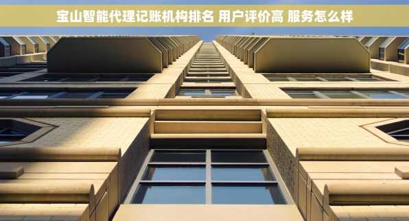 宝山智能代理记账机构排名 用户评价高 服务怎么样