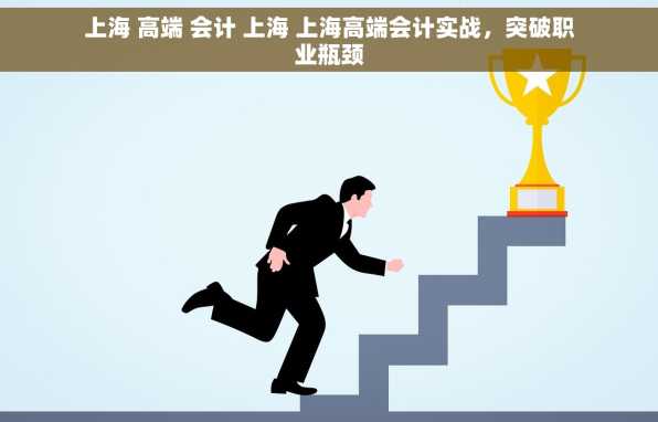 上海 高端 会计 上海 上海高端会计实战，突破职业瓶颈