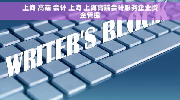 上海 高端 会计 上海 上海高端会计服务企业资金管理