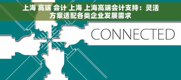 上海 高端 会计 上海 上海高端会计支持：灵活方案适配各类企业发展需求