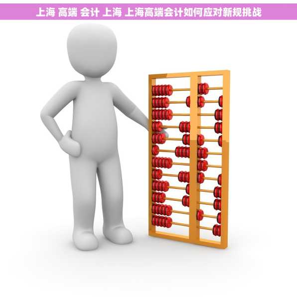 上海 高端 会计 上海 上海高端会计如何应对新规挑战