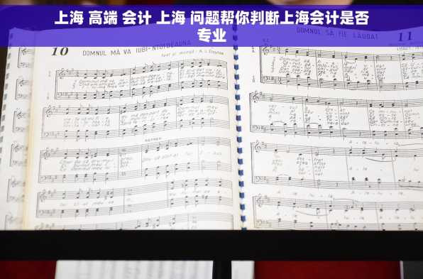 上海 高端 会计 上海 问题帮你判断上海会计是否专业