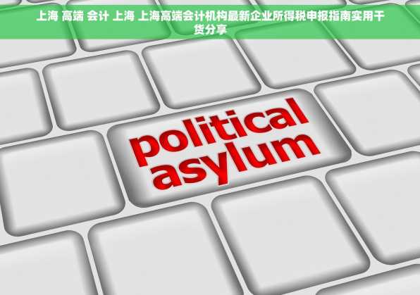 上海 高端 会计 上海 上海高端会计机构最新企业所得税申报指南实用干货分享
