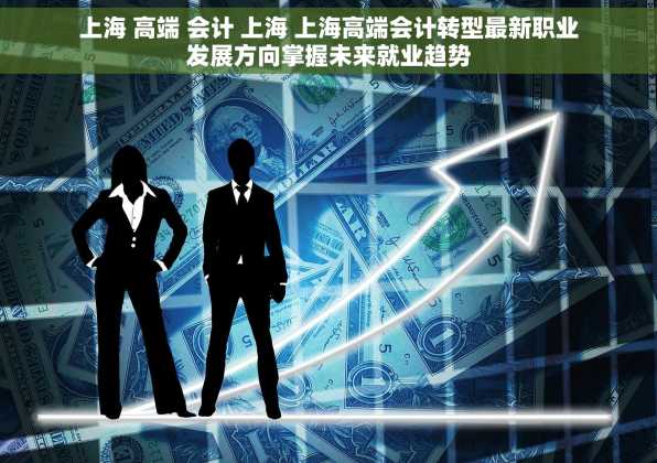 上海 高端 会计 上海 上海高端会计转型最新职业发展方向掌握未来就业趋势