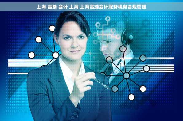 上海 高端 会计 上海 上海高端会计服务税务合规管理