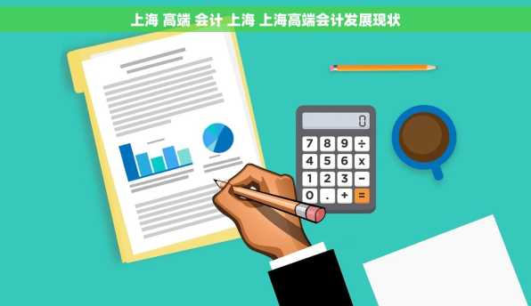 上海 高端 会计 上海 上海高端会计发展现状