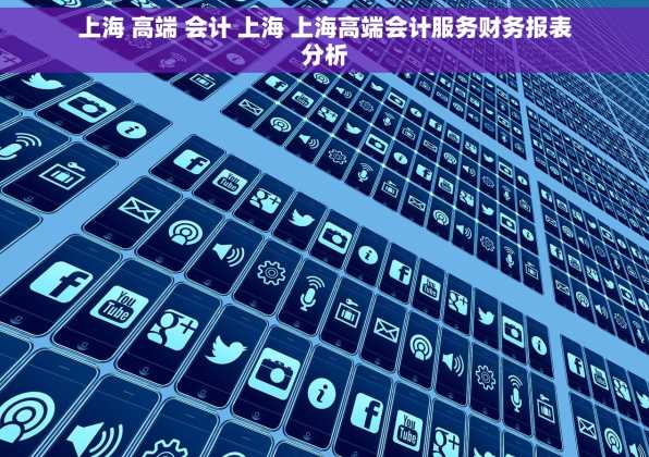 上海 高端 会计 上海 上海高端会计服务财务报表分析