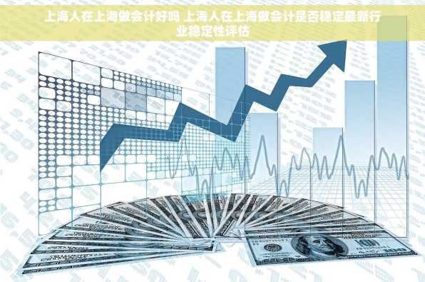 上海人在上海做会计好吗 上海人在上海做会计是否稳定最新行业稳定性评估