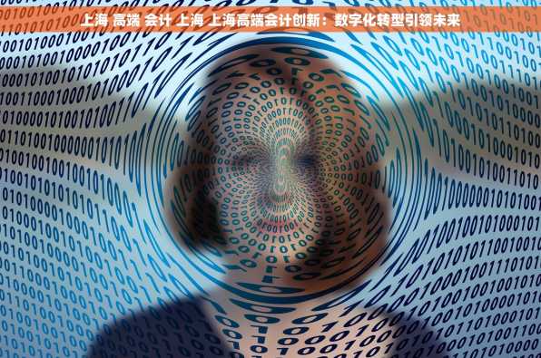 上海 高端 会计 上海 上海高端会计创新：数字化转型引领未来