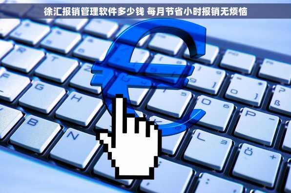 徐汇报销管理软件多少钱 每月节省小时报销无烦恼