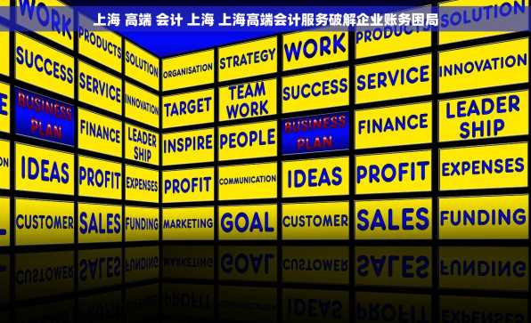 上海 高端 会计 上海 上海高端会计服务破解企业账务困局