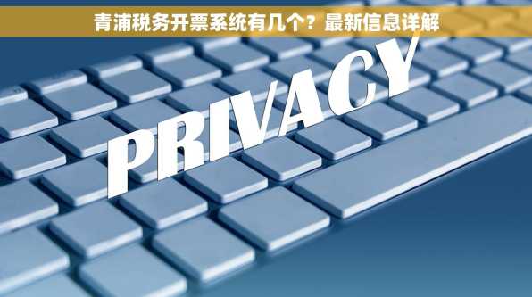青浦税务开票系统有几个？最新信息详解