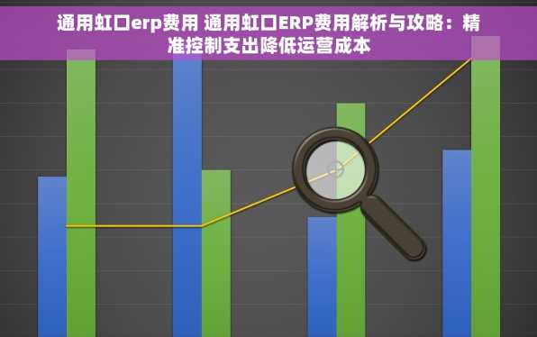 通用虹口erp费用 通用虹口ERP费用解析与攻略：精准控制支出降低运营成本