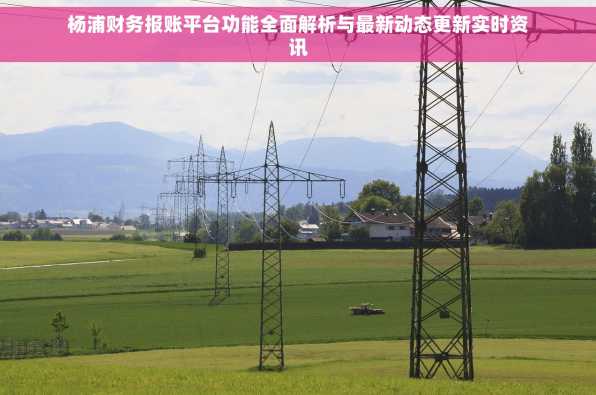 杨浦财务报账平台功能全面解析与最新动态更新实时资讯
