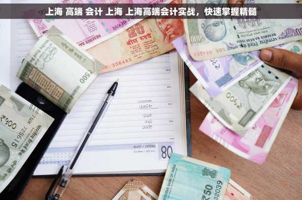 上海 高端 会计 上海 上海高端会计实战，快速掌握精髓