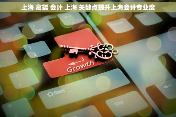 上海 高端 会计 上海 关键点提升上海会计专业度