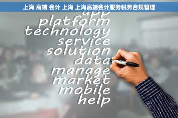 上海 高端 会计 上海 上海高端会计服务税务合规管理