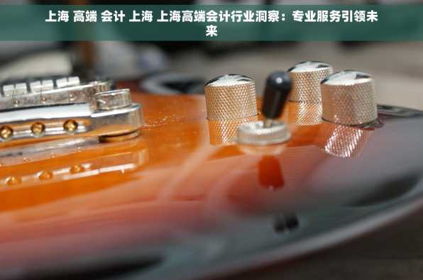 上海 高端 会计 上海 上海高端会计行业洞察：专业服务引领未来
