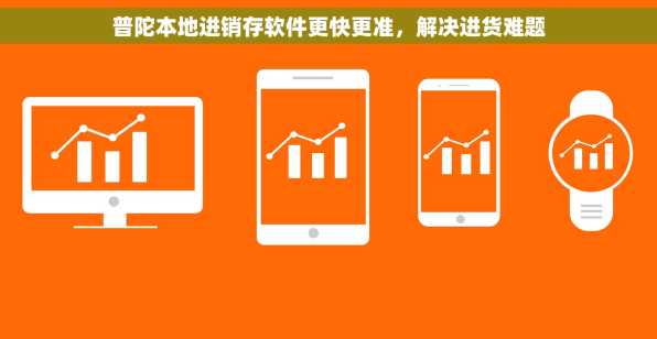 普陀本地进销存软件更快更准，解决进货难题