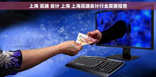 上海 高端 会计 上海 上海高端会计行业发展报告