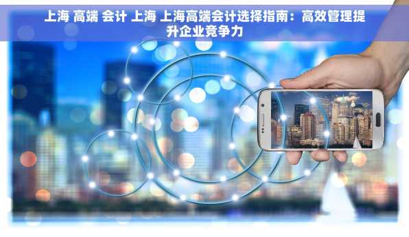 上海 高端 会计 上海 上海高端会计选择指南：高效管理提升企业竞争力