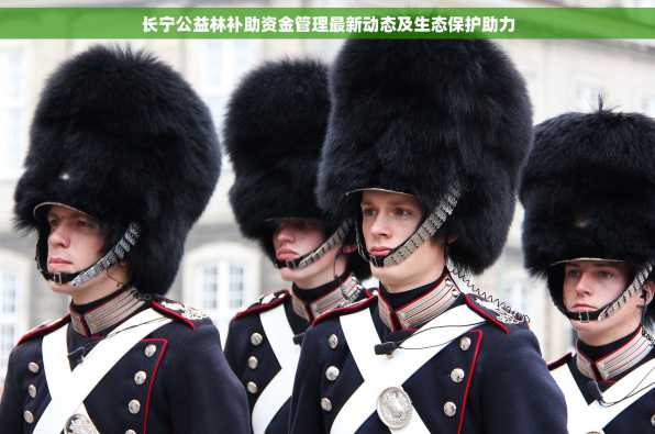 长宁公益林补助资金管理最新动态及生态保护助力