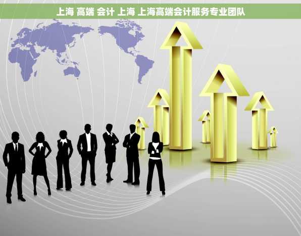 上海 高端 会计 上海 上海高端会计服务专业团队