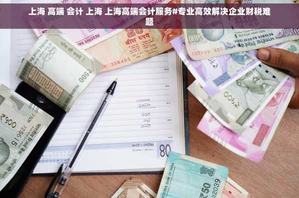 上海 高端 会计 上海 上海高端会计服务#专业高效解决企业财税难题