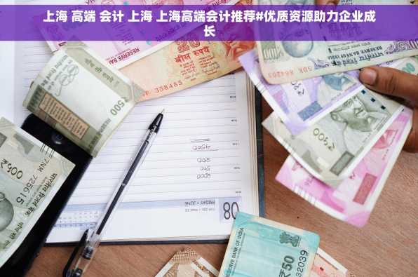 上海 高端 会计 上海 上海高端会计推荐#优质资源助力企业成长