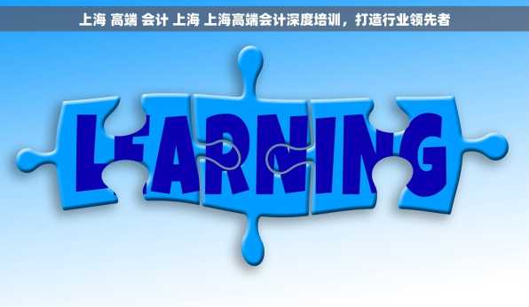 上海 高端 会计 上海 上海高端会计深度培训，打造行业领先者