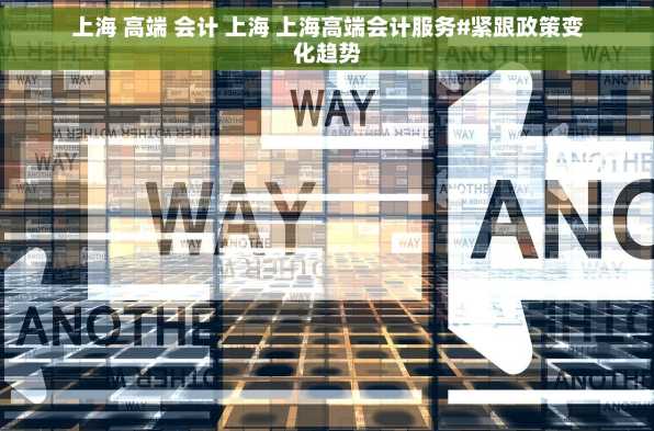 上海 高端 会计 上海 上海高端会计服务#紧跟政策变化趋势