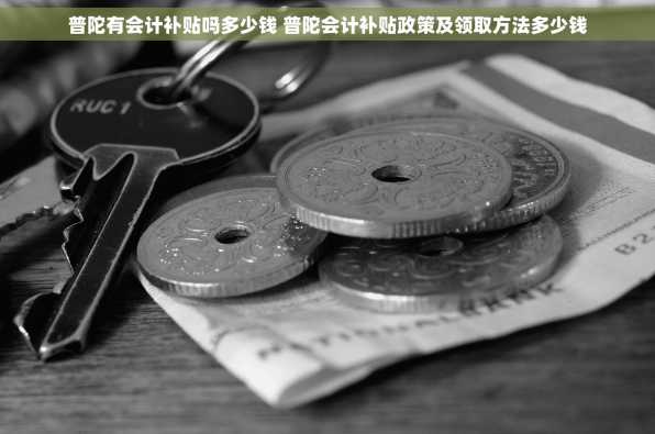 普陀有会计补贴吗多少钱 普陀会计补贴政策及领取方法多少钱