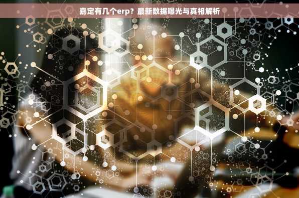 嘉定有几个erp？最新数据曝光与真相解析