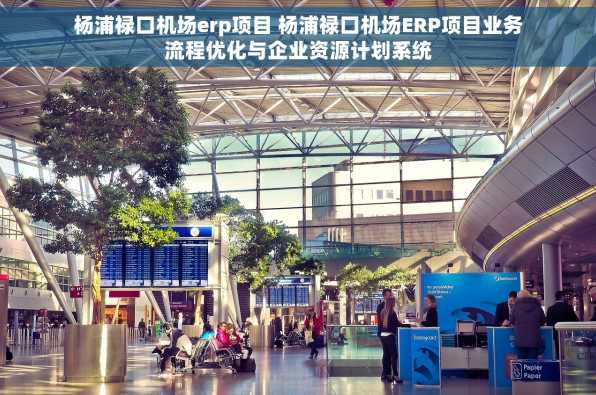杨浦禄口机场erp项目 杨浦禄口机场ERP项目业务流程优化与企业资源计划系统