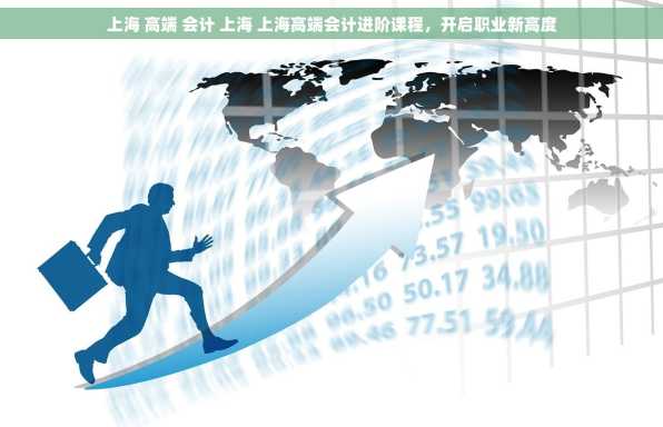 上海 高端 会计 上海 上海高端会计进阶课程，开启职业新高度